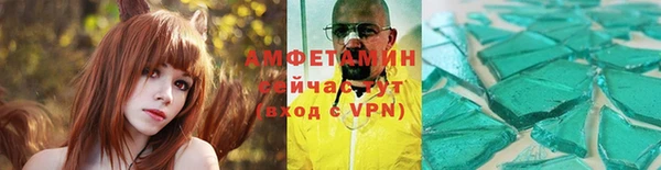 крисы Кулебаки