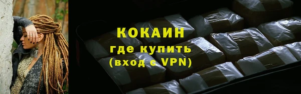 крисы Кулебаки