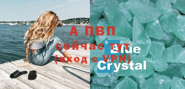 крисы Кулебаки