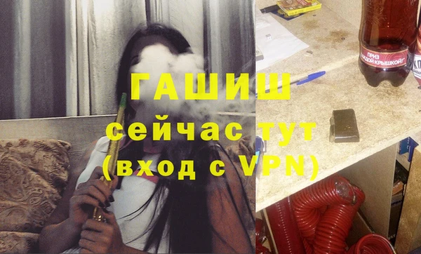 крисы Кулебаки