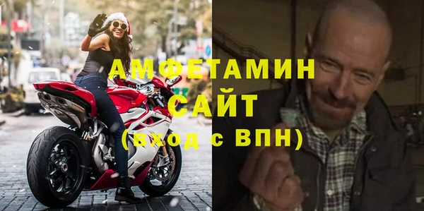 крисы Кулебаки