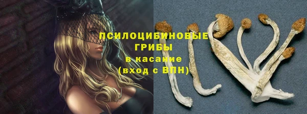 кокс Кукмор