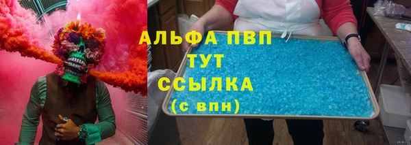 крисы Кулебаки