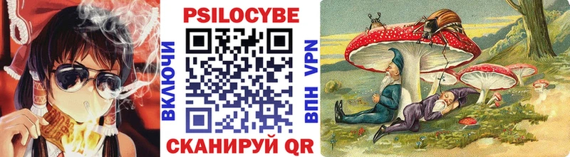 Купить где  Сосновый Бор  Псилоцибиновые грибы прущие грибы 